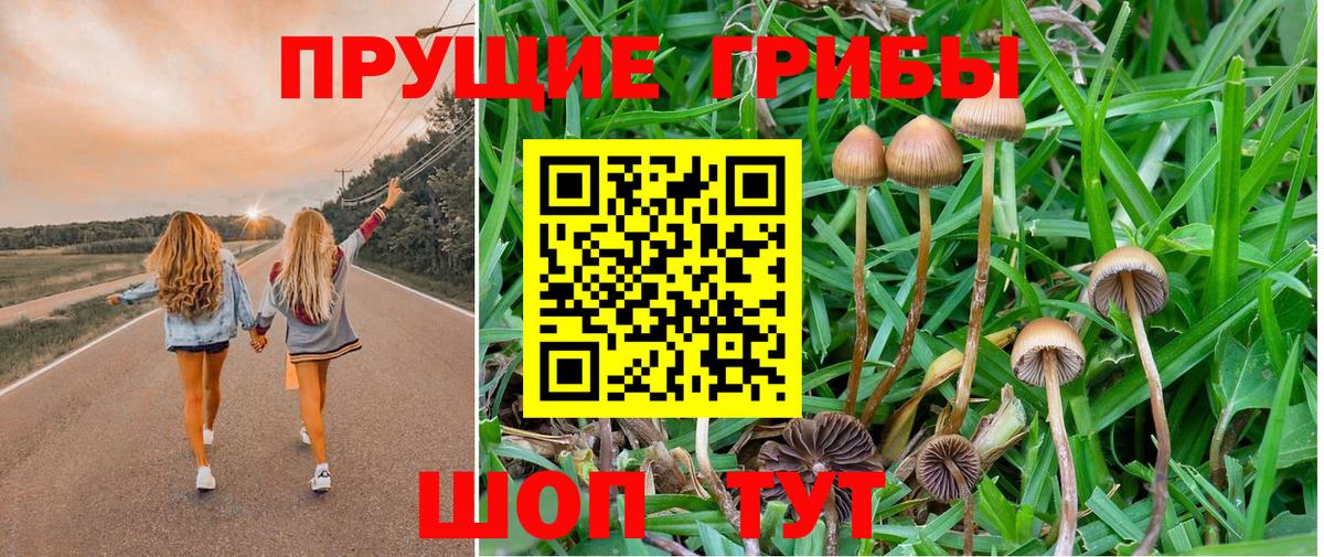Галлюциногенные грибы Cubensis Семёнов