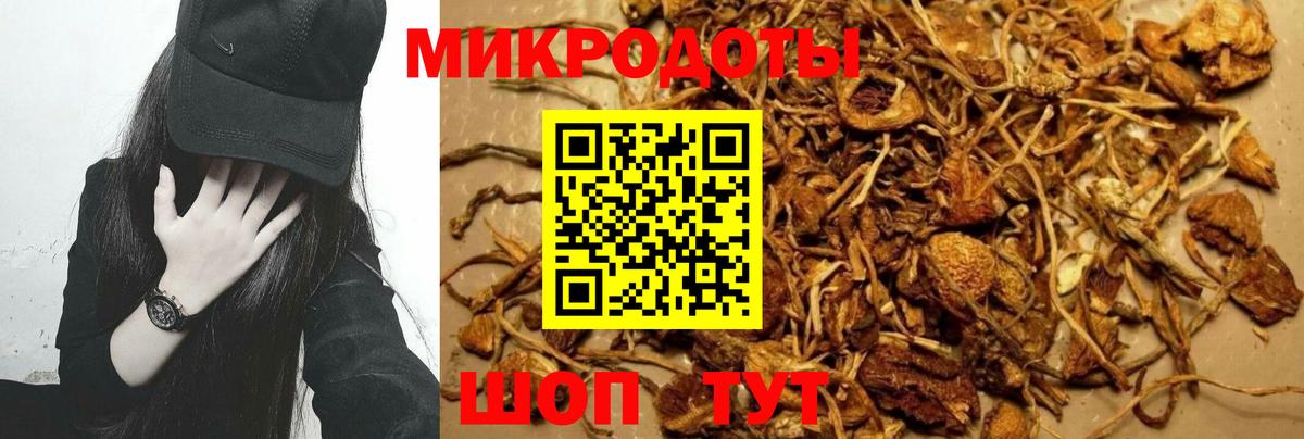сколько стоит  Псилоцибиновые грибы мухоморы  Вход с VPN  Семёнов 